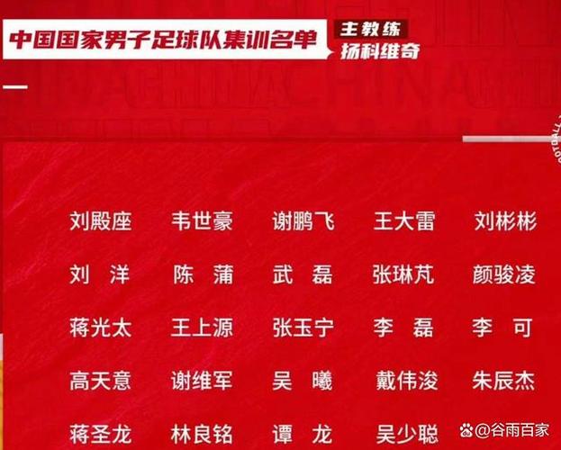 标题：又要冲击世界杯了！中国男足公布名单